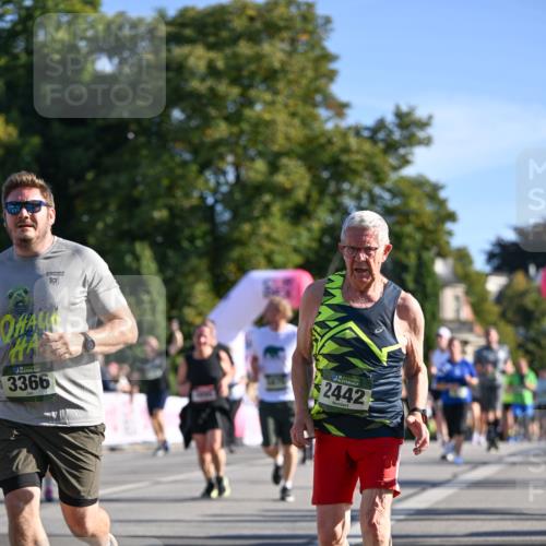 07.09.2025 - BARMER Alsterlauf Dr. Thomas Lammeyer http://msf.ph/oto/8713814 07.09.2025 09:45:59 Laufen 19, 3366, 2442 meine-sportfotos.de