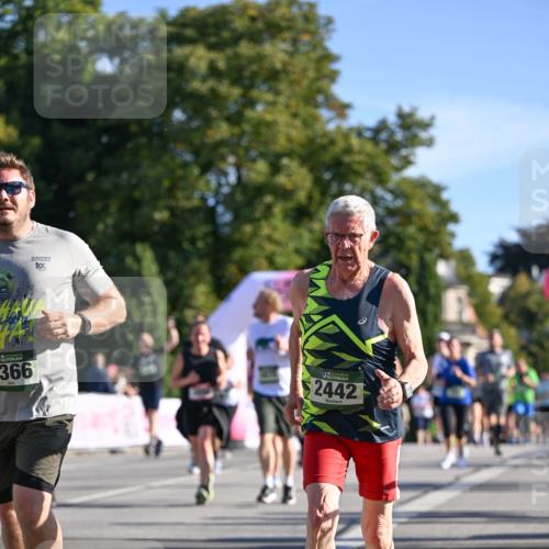 07.09.2025 - BARMER Alsterlauf Dr. Thomas Lammeyer http://msf.ph/oto/8713815 07.09.2025 09:45:59 Laufen 366, 10, 36, 2442 meine-sportfotos.de