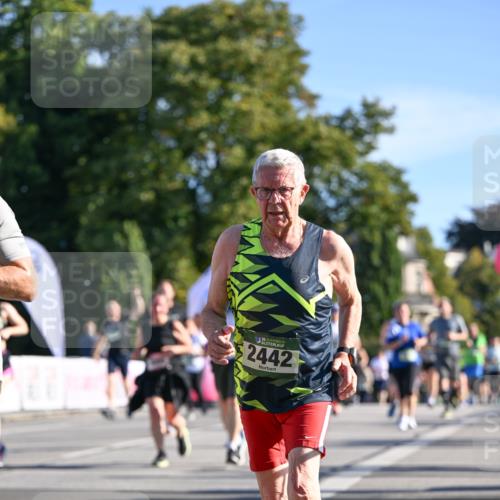 07.09.2025 - BARMER Alsterlauf Dr. Thomas Lammeyer http://msf.ph/oto/8713818 07.09.2025 09:45:59 Laufen 36, 2442 meine-sportfotos.de