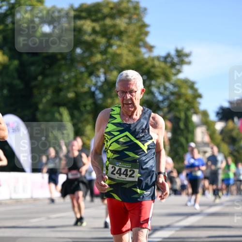 07.09.2025 - BARMER Alsterlauf Dr. Thomas Lammeyer http://msf.ph/oto/8713819 07.09.2025 09:45:59 Laufen 36, 2442 meine-sportfotos.de