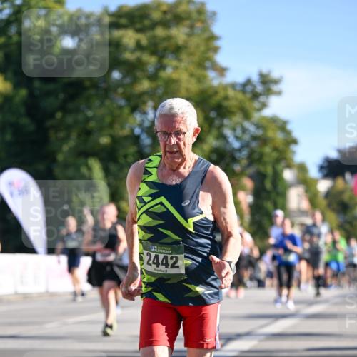 07.09.2025 - BARMER Alsterlauf Dr. Thomas Lammeyer http://msf.ph/oto/8713820 07.09.2025 09:46:00 Laufen 36, 2442 meine-sportfotos.de