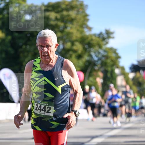07.09.2025 - BARMER Alsterlauf Dr. Thomas Lammeyer http://msf.ph/oto/8713822 07.09.2025 09:46:00 Laufen 136, 2442 meine-sportfotos.de