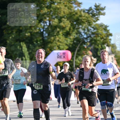 07.09.2025 - BARMER Alsterlauf Dr. Thomas Lammeyer http://msf.ph/oto/8713908 07.09.2025 09:46:16 Laufen 4137, 2575, 4397, 3736, 5872 meine-sportfotos.de