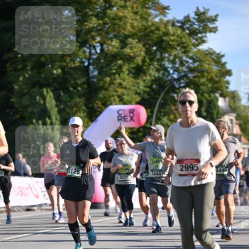 07.09.2025 - BARMER Alsterlauf Dr. Thomas Lammeyer http://msf.ph/oto/8714156 07.09.2025 09:47:00 Laufen 125, 2995, 3444, 3446, 2031, 602 meine-sportfotos.de