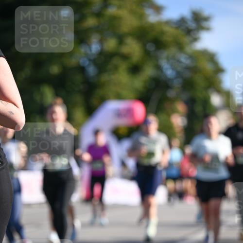 07.09.2025 - BARMER Alsterlauf Dr. Thomas Lammeyer http://msf.ph/oto/8714193 07.09.2025 09:47:06 Laufen  meine-sportfotos.de