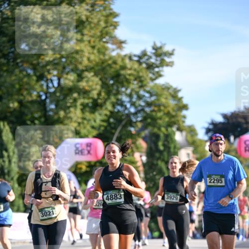 07.09.2025 - BARMER Alsterlauf Dr. Thomas Lammeyer http://msf.ph/oto/8714829 07.09.2025 09:49:00 Laufen 371, 3021, 526, 4883, 3929, 2295 meine-sportfotos.de