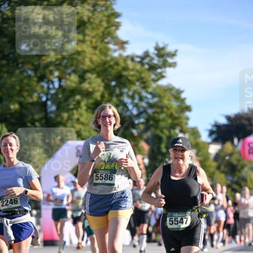07.09.2025 - BARMER Alsterlauf Dr. Thomas Lammeyer http://msf.ph/oto/8714991 07.09.2025 09:49:26 Laufen 2246, 5586, 5547 meine-sportfotos.de