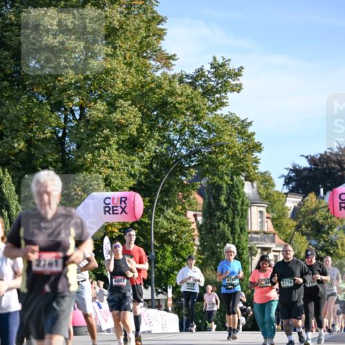 07.09.2025 - BARMER Alsterlauf Dr. Thomas Lammeyer http://msf.ph/oto/8715226 07.09.2025 09:50:08 Laufen 2761, 4802, 4780, 4724, 44, 3779, 780, 535, 54 meine-sportfotos.de