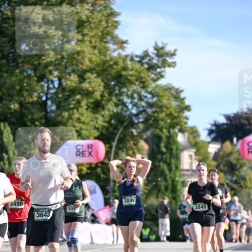 07.09.2025 - BARMER Alsterlauf Dr. Thomas Lammeyer http://msf.ph/oto/8715338 07.09.2025 09:50:31 Laufen 3499, 3643, 3849, 3848, 5097 meine-sportfotos.de