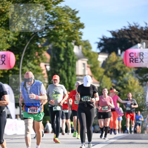 07.09.2025 - BARMER Alsterlauf Dr. Thomas Lammeyer http://msf.ph/oto/8715640 07.09.2025 09:51:33 Laufen 2087, 4841, 3994 meine-sportfotos.de