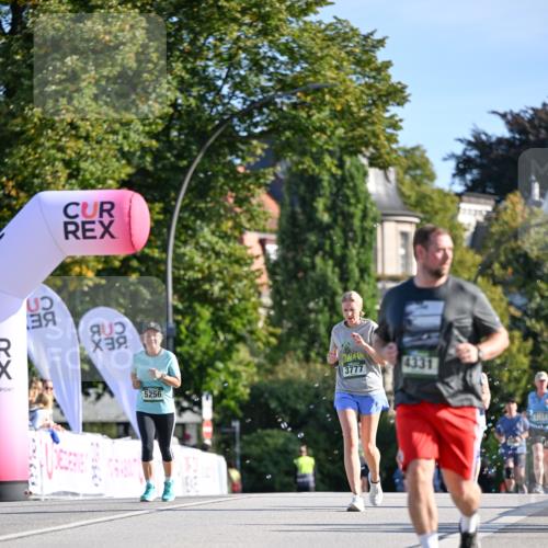 07.09.2025 - BARMER Alsterlauf Dr. Thomas Lammeyer http://msf.ph/oto/8715711 07.09.2025 09:51:45 Laufen 21, 3777, 4331, 5256, 33313 meine-sportfotos.de