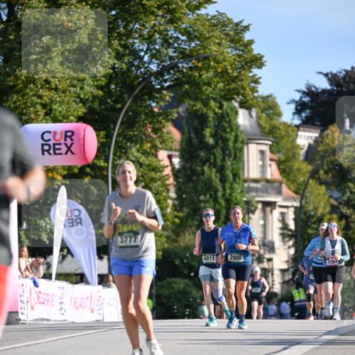 07.09.2025 - BARMER Alsterlauf Dr. Thomas Lammeyer http://msf.ph/oto/8715735 07.09.2025 09:51:49 Laufen 3777, 4011, 2905, 2261 meine-sportfotos.de
