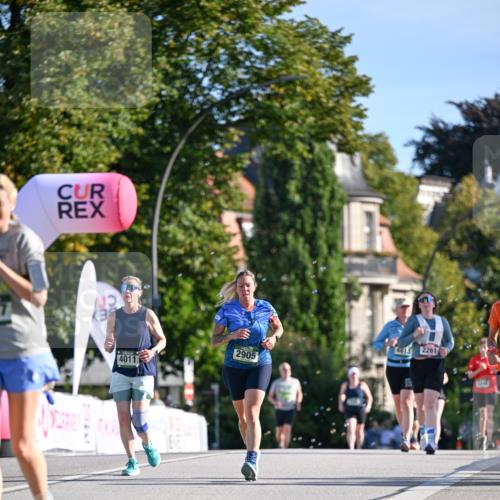 07.09.2025 - BARMER Alsterlauf Dr. Thomas Lammeyer http://msf.ph/oto/8715749 07.09.2025 09:51:52 Laufen 481, 2261, 2905, 4011 meine-sportfotos.de