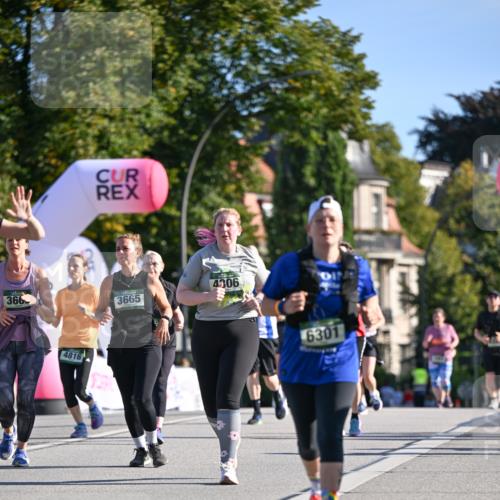 07.09.2025 - BARMER Alsterlauf Dr. Thomas Lammeyer http://msf.ph/oto/8716088 07.09.2025 09:53:49 Laufen 366, 4816, 3665, 4306, 6301, 54 meine-sportfotos.de