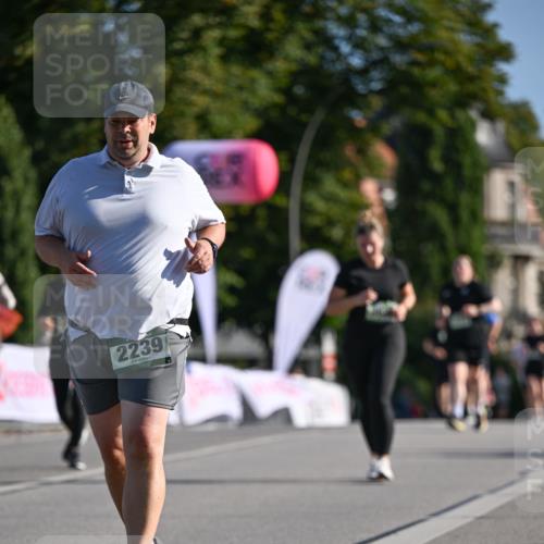 07.09.2025 - BARMER Alsterlauf Dr. Thomas Lammeyer http://msf.ph/oto/8716465 07.09.2025 09:55:15 Laufen 2239 meine-sportfotos.de