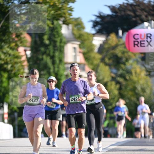 07.09.2025 - BARMER Alsterlauf Dr. Thomas Lammeyer http://msf.ph/oto/8716755 07.09.2025 09:56:04 Laufen 2427, 242, 3950 meine-sportfotos.de