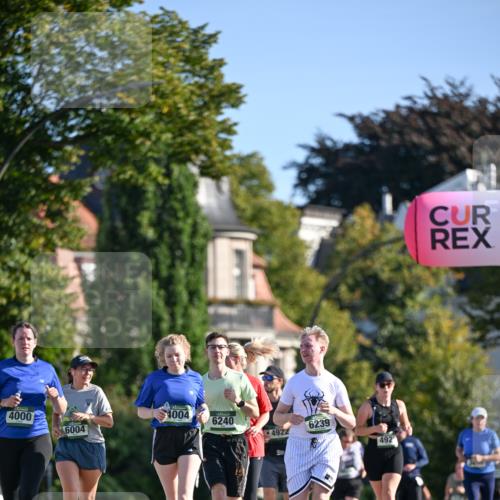 07.09.2025 - BARMER Alsterlauf Dr. Thomas Lammeyer http://msf.ph/oto/8716794 07.09.2025 09:56:16 Laufen 4000, 4004, 6004, 6240, 6239, 4922, 492 meine-sportfotos.de