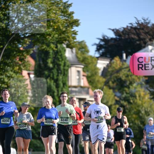 07.09.2025 - BARMER Alsterlauf Dr. Thomas Lammeyer http://msf.ph/oto/8716801 07.09.2025 09:56:17 Laufen 4000, 4004, 6240, 239, 441, 4922, 6004, 4921 meine-sportfotos.de