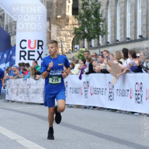 07.09.2025 - BARMER Alsterlauf Strokosch-Dieckow http://msf.ph/oto/8716835 07.09.2025 10:50:08 Ziel 180, 275, 298 meine-sportfotos.de