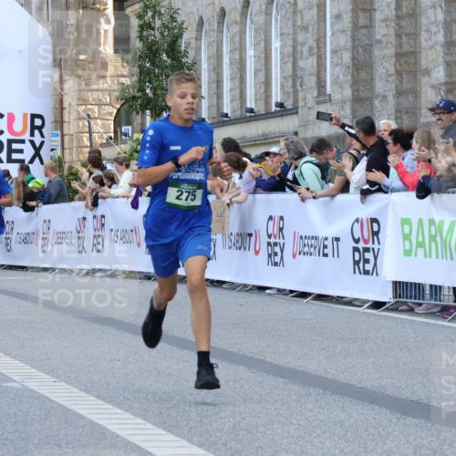 07.09.2025 - BARMER Alsterlauf Strokosch-Dieckow http://msf.ph/oto/8716842 07.09.2025 10:50:09 Ziel 180, 275, 298 meine-sportfotos.de