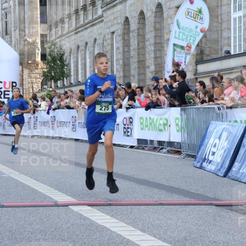 07.09.2025 - BARMER Alsterlauf Strokosch-Dieckow http://msf.ph/oto/8716845 07.09.2025 10:50:10 Ziel 180, 275, 298 meine-sportfotos.de
