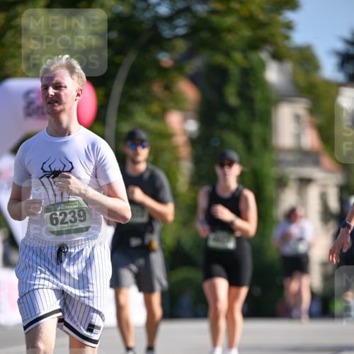 07.09.2025 - BARMER Alsterlauf Dr. Thomas Lammeyer http://msf.ph/oto/8716857 07.09.2025 09:56:25 Laufen 36, 6239 meine-sportfotos.de