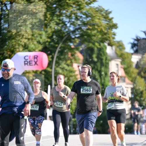 07.09.2025 - BARMER Alsterlauf Dr. Thomas Lammeyer http://msf.ph/oto/8716910 07.09.2025 09:56:41 Laufen 2635, 2642, 2563, 2807 meine-sportfotos.de