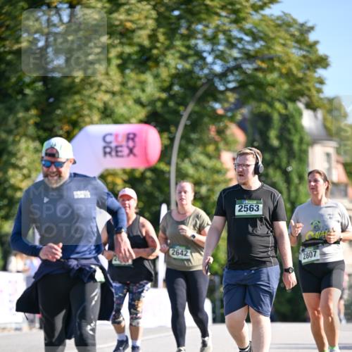 07.09.2025 - BARMER Alsterlauf Dr. Thomas Lammeyer http://msf.ph/oto/8716911 07.09.2025 09:56:42 Laufen 2642, 2563, 2807 meine-sportfotos.de