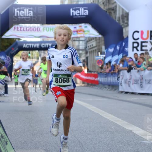 07.09.2025 - BARMER Alsterlauf Strokosch-Dieckow http://msf.ph/oto/8716912 07.09.2025 10:50:22 Ziel 165, 190, 231, 8068 meine-sportfotos.de