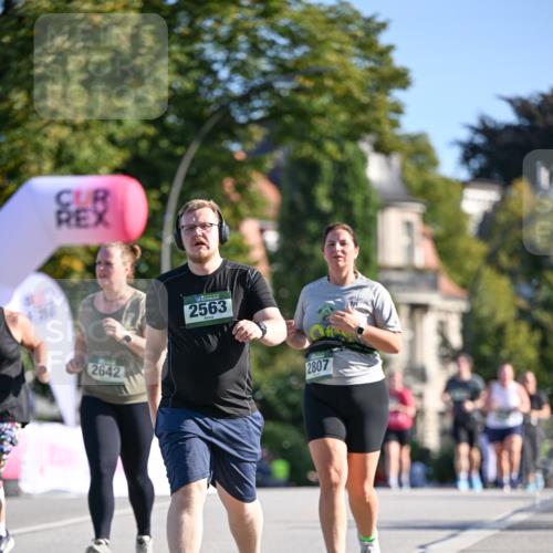 07.09.2025 - BARMER Alsterlauf Dr. Thomas Lammeyer http://msf.ph/oto/8716921 07.09.2025 09:56:43 Laufen 2642, 2563, 2807 meine-sportfotos.de
