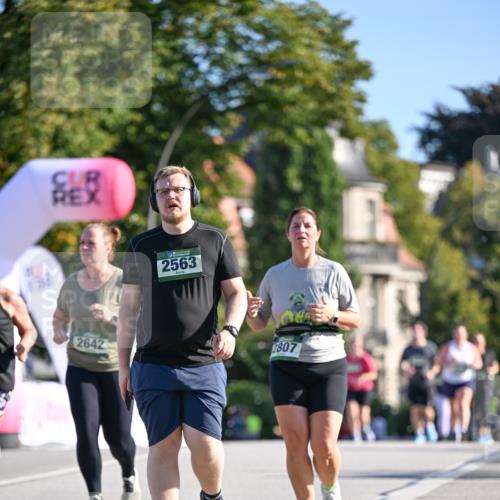 07.09.2025 - BARMER Alsterlauf Dr. Thomas Lammeyer http://msf.ph/oto/8716922 07.09.2025 09:56:43 Laufen 2642, 2563, 2807 meine-sportfotos.de