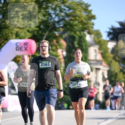 07.09.2025 - BARMER Alsterlauf Dr. Thomas Lammeyer http://msf.ph/oto/8716924 07.09.2025 09:56:43 Laufen 264, 2563, 2807 meine-sportfotos.de