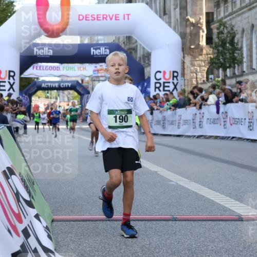 07.09.2025 - BARMER Alsterlauf Strokosch-Dieckow http://msf.ph/oto/8716937 07.09.2025 10:50:27 Ziel 190, 231, 260, 8068, 8448 meine-sportfotos.de