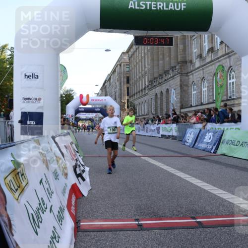 07.09.2025 - BARMER Alsterlauf Strokosch-Dieckow http://msf.ph/oto/8716947 07.09.2025 10:50:28 Ziel 190, 231, 260, 8068, 8448 meine-sportfotos.de