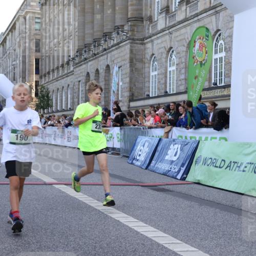 07.09.2025 - BARMER Alsterlauf Strokosch-Dieckow http://msf.ph/oto/8716951 07.09.2025 10:50:29 Ziel 190, 231, 260, 8068, 8448 meine-sportfotos.de