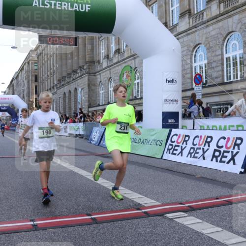 07.09.2025 - BARMER Alsterlauf Strokosch-Dieckow http://msf.ph/oto/8716959 07.09.2025 10:50:30 Ziel 190, 231, 260, 451, 8448 meine-sportfotos.de
