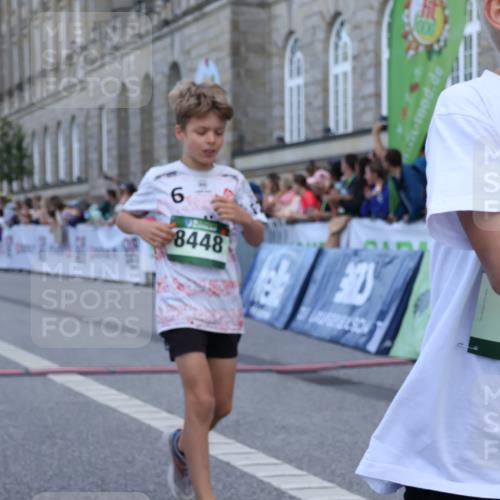 07.09.2025 - BARMER Alsterlauf Strokosch-Dieckow http://msf.ph/oto/8716969 07.09.2025 10:50:31 Ziel 190, 231, 260, 291, 451, 8448 meine-sportfotos.de