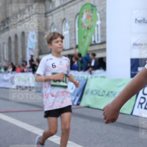 07.09.2025 - BARMER Alsterlauf Strokosch-Dieckow http://msf.ph/oto/8716972 07.09.2025 10:50:32 Ziel 166, 190, 231, 260, 291, 451, 8448 meine-sportfotos.de