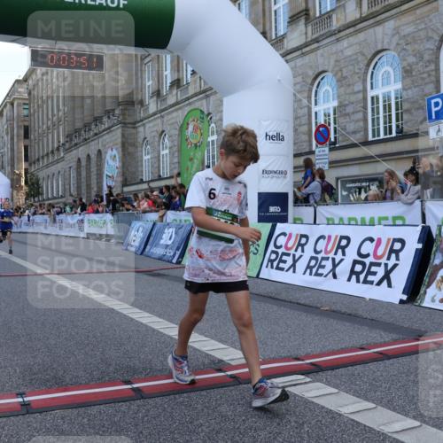 07.09.2025 - BARMER Alsterlauf Strokosch-Dieckow http://msf.ph/oto/8716976 07.09.2025 10:50:33 Ziel 166, 231, 260, 291, 434, 451, 8448 meine-sportfotos.de