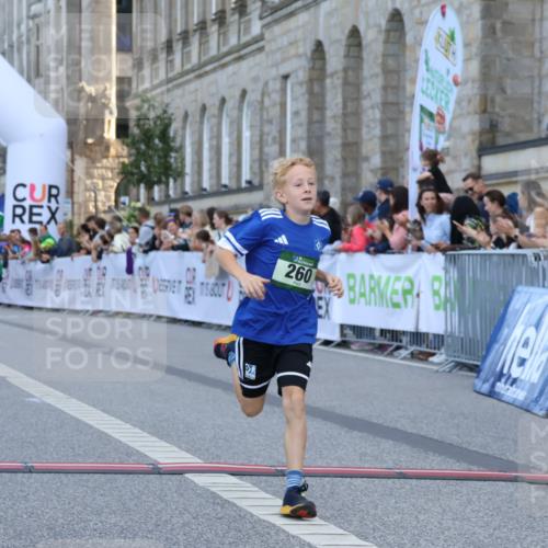 07.09.2025 - BARMER Alsterlauf Strokosch-Dieckow http://msf.ph/oto/8716980 07.09.2025 10:50:34 Ziel 166, 231, 260, 291, 308, 434, 451, 8448 meine-sportfotos.de