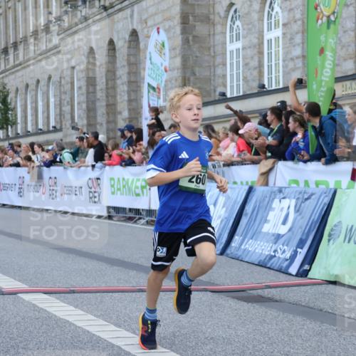 07.09.2025 - BARMER Alsterlauf Strokosch-Dieckow http://msf.ph/oto/8716983 07.09.2025 10:50:34 Ziel 166, 231, 260, 291, 308, 434, 451, 8448 meine-sportfotos.de