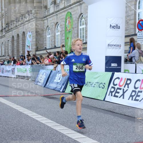 07.09.2025 - BARMER Alsterlauf Strokosch-Dieckow http://msf.ph/oto/8716987 07.09.2025 10:50:35 Ziel 166, 260, 291, 308, 434, 451, 8448 meine-sportfotos.de