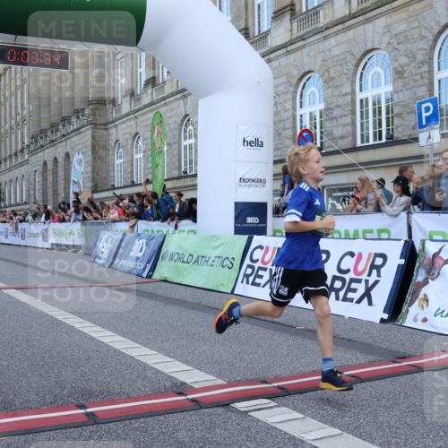 07.09.2025 - BARMER Alsterlauf Strokosch-Dieckow http://msf.ph/oto/8716992 07.09.2025 10:50:35 Ziel 166, 260, 291, 308, 434, 451, 8448 meine-sportfotos.de