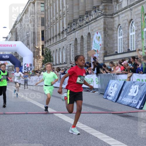 07.09.2025 - BARMER Alsterlauf Strokosch-Dieckow http://msf.ph/oto/8717017 07.09.2025 10:50:39 Ziel 166, 260, 279, 283, 291, 308, 310, 434, 451 meine-sportfotos.de