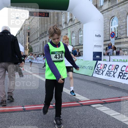 07.09.2025 - BARMER Alsterlauf Strokosch-Dieckow http://msf.ph/oto/8717032 07.09.2025 10:50:42 Ziel 166, 270, 279, 283, 291, 308, 310, 434, 450, 451 meine-sportfotos.de