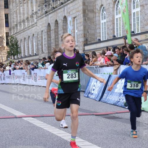 07.09.2025 - BARMER Alsterlauf Strokosch-Dieckow http://msf.ph/oto/8717045 07.09.2025 10:50:43 Ziel 166, 270, 279, 283, 291, 308, 310, 434, 450 meine-sportfotos.de