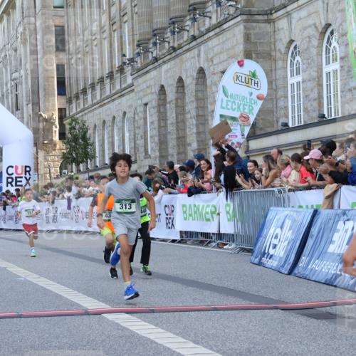 07.09.2025 - BARMER Alsterlauf Strokosch-Dieckow http://msf.ph/oto/8717076 07.09.2025 10:50:53 Ziel 151, 167, 268, 270, 313, 407, 408, 438, 444 meine-sportfotos.de