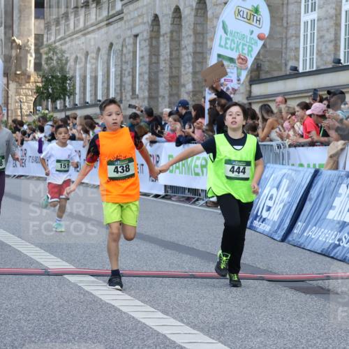 07.09.2025 - BARMER Alsterlauf Strokosch-Dieckow http://msf.ph/oto/8717080 07.09.2025 10:50:54 Ziel 151, 167, 196, 268, 270, 313, 407, 408, 438, 444 meine-sportfotos.de