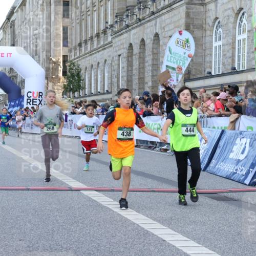 07.09.2025 - BARMER Alsterlauf Strokosch-Dieckow http://msf.ph/oto/8717081 07.09.2025 10:50:55 Ziel 151, 167, 196, 268, 313, 407, 408, 438, 441, 444 meine-sportfotos.de