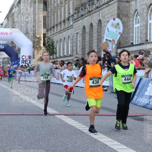 07.09.2025 - BARMER Alsterlauf Strokosch-Dieckow http://msf.ph/oto/8717082 07.09.2025 10:50:55 Ziel 151, 167, 196, 268, 313, 407, 408, 438, 441, 444 meine-sportfotos.de